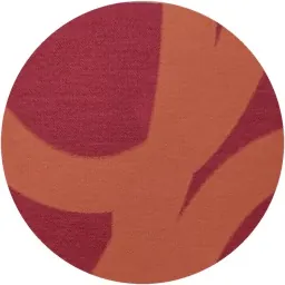 Cenza Red Apricot